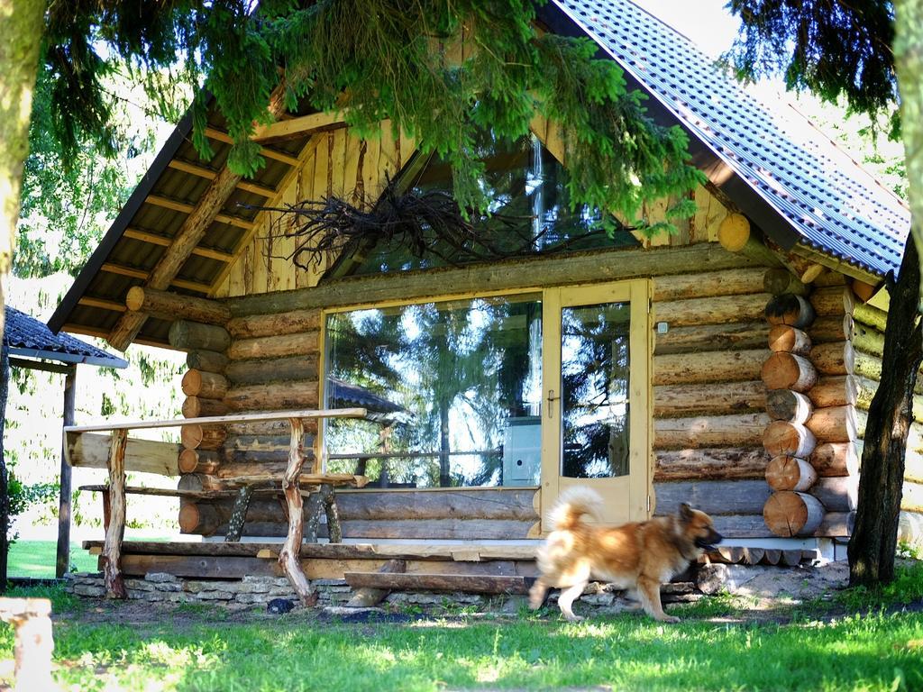 Affittacamere Hiie Talu Kahala Esterno foto